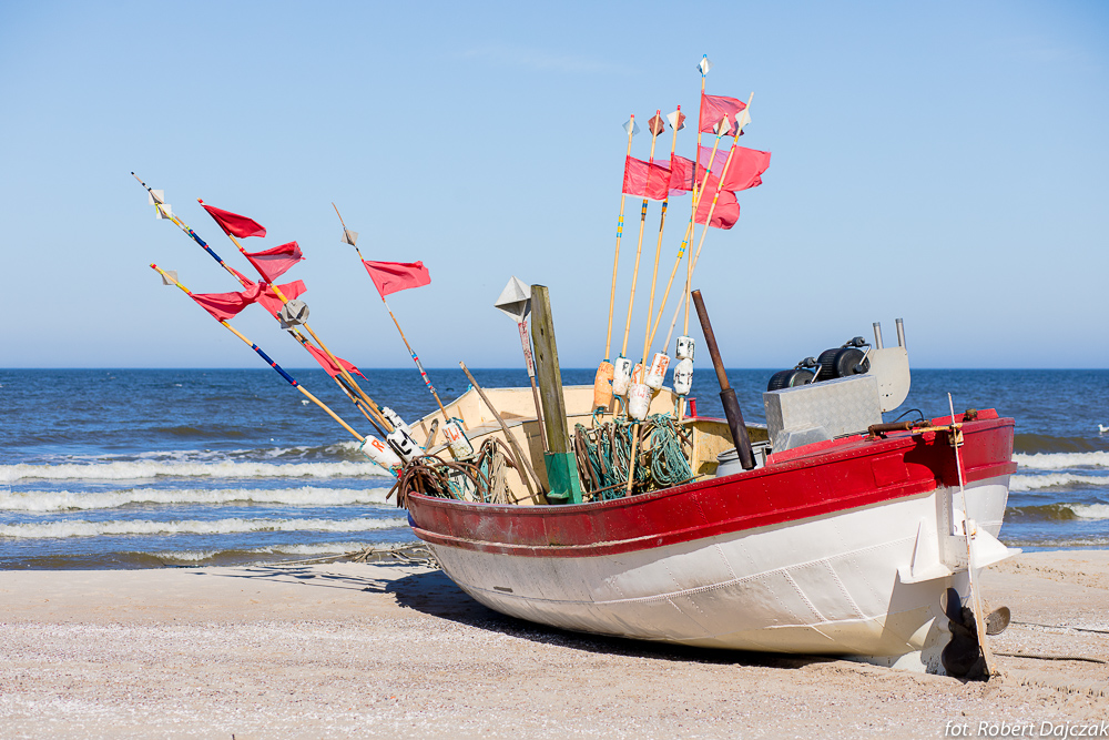 03fot RobertDajczak  7