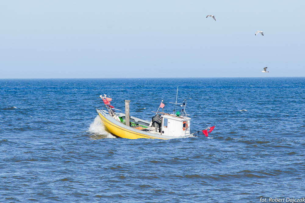 05fot RobertDajczak 0328