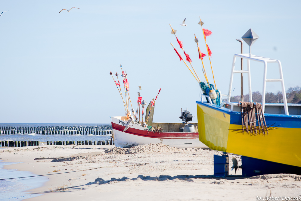 06fot RobertDajczak 0379