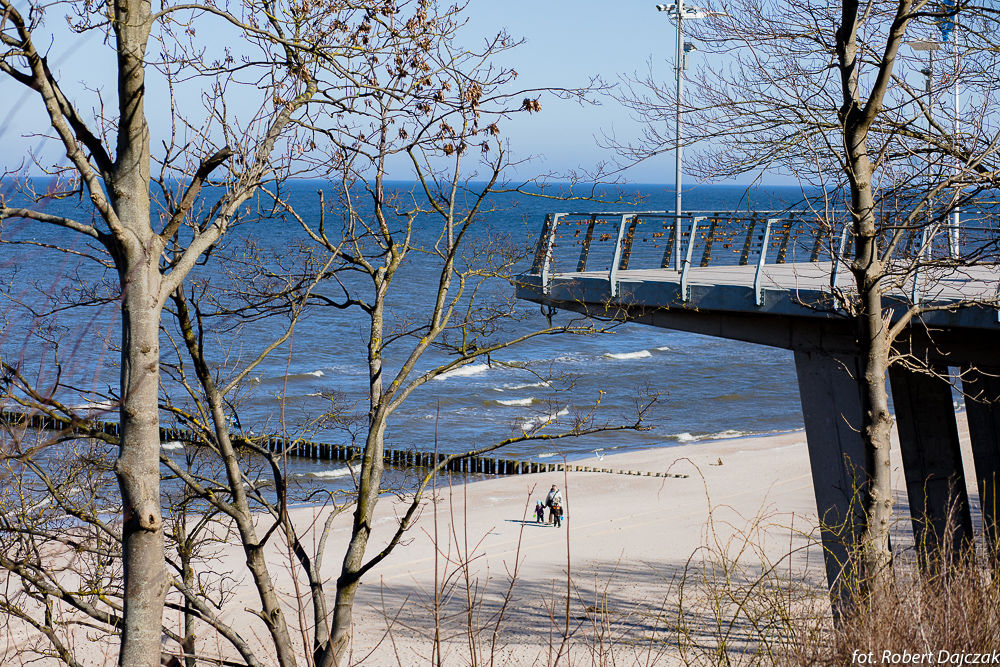 14fot RobertDajczak 0412